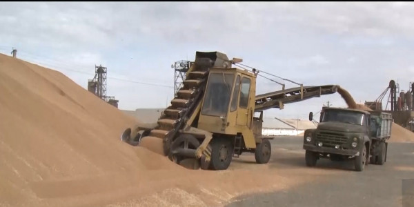 Мнение казахстанских аграриев о международной изоляции России