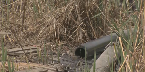 Алматы облысындағы Боралдай кентінің тұрғындары жағымсыз ауамен тыныстауға мәжбүр