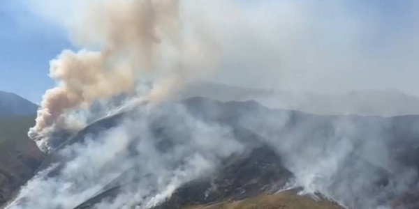 Крупный пожар локализовали в Жамбылской области