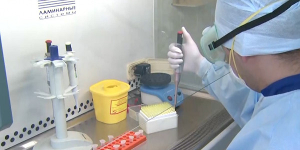 Стоимость ПЦР-тестов в Казахстане снизили почти в 2 раза