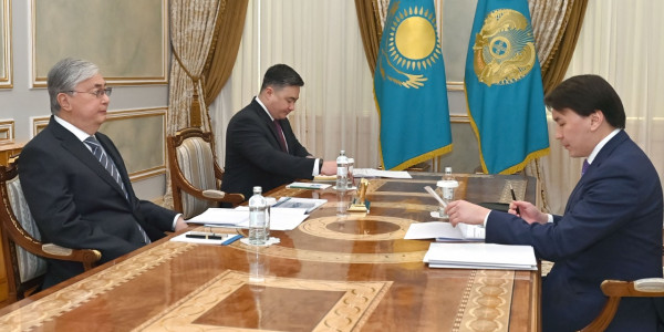 Мемлекет басшысы Бәсекелестікті қорғау және дамыту агенттігінің төрағасын қабылдады