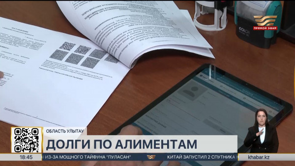 Больше 350 млн тенге задолжали по алиментам в области Улытау
