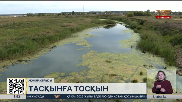 Ақмола облысында су тасқынына қарсы іс-шаралар жүргізіліп жатыр