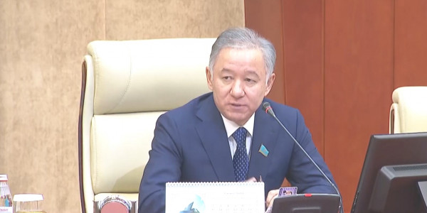 Госзаказ не для пиара акимов &ndash; депутат Мажилиса