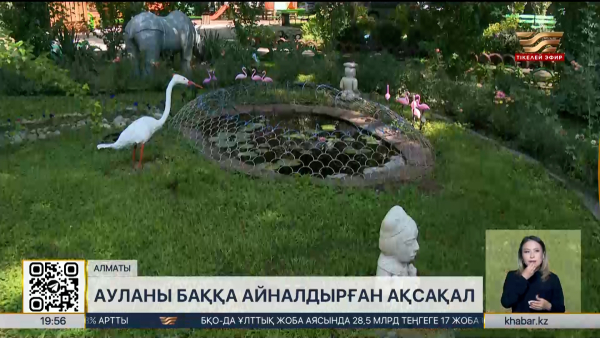 Алматылық зейнеткер көпқабатты үйдің ауласын ботаникалық баққа айналдырды