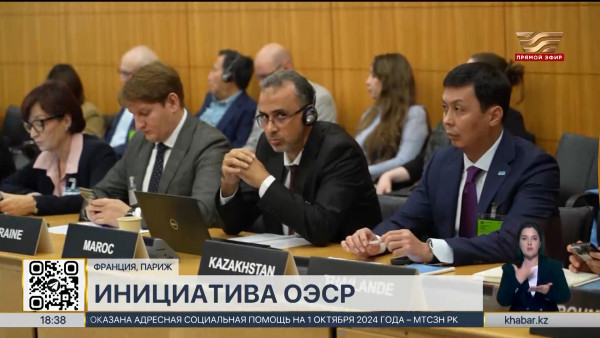 Казахстан присоединился к еще одной инициативе ОЭСР
