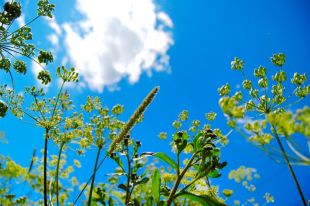 Погода без осадков ожидается на большей части территории Казахстана