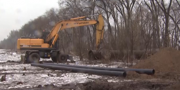 В Алматы для строительства торгового центра срубили тысячи деревьев