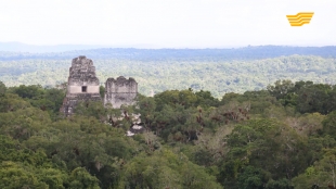 &laquo;Тур де Хабар&raquo;. Тикаль қаласы