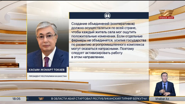 Президент поручил усилить ответственность сельских акимов