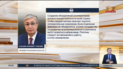 Президент поручил усилить ответственность сельских акимов