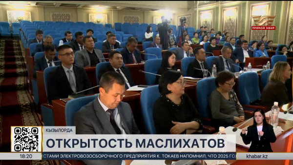 Единую цифровую платформу для маслихатов предложили разработать сенаторы