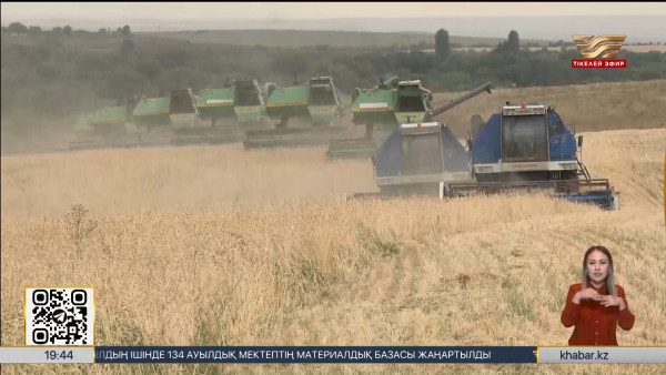 Абай облысында астықтың 68%-і жиналды