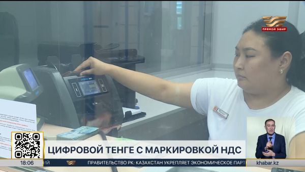 Цифровой тенге с маркировкой НДС для госзакупок внедрят в Казахстане