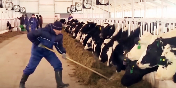 В партии &laquo;Ауыл&raquo; предлагают развивать отечественное сельское хозяйство через кооперативы