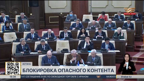 Обеспокоенность фактами детских суицидов выразили депутаты