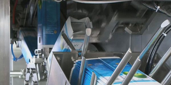 Қызылорда облысы алдағы уақытта күріш қана емес, қызанақ, ет пен жұмыртқа өндіретін орталыққа айналмақ