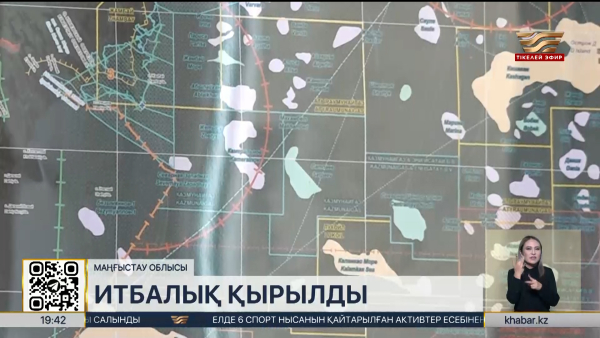 Каспий жағалауында итбалық қырылып жатыр