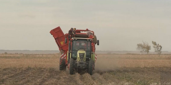 Общенациональный план по реализации Послания Президента подготовит Кабмин