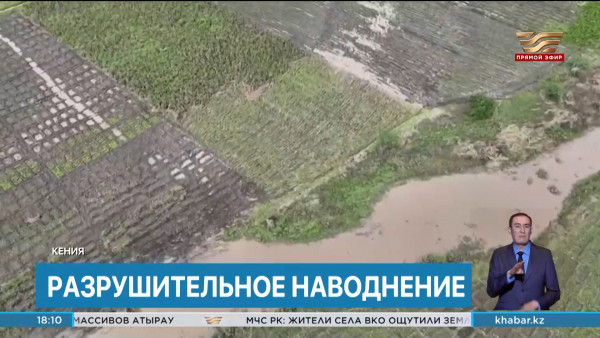 Международные новости: разрушительное наводнение произошло в Кении