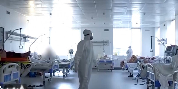 Шымкентте екі адамнан сібір жарасы ауруы тіркелді