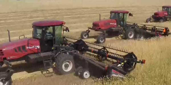 Как дефицит воды и засуха повлияют на конечную стоимость хлеба?