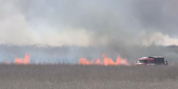 Атырауда тілсіз жаумен күрес жалғасып жатыр