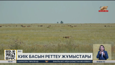 БҚО-да киік санын реттеу жұмыстары басталды