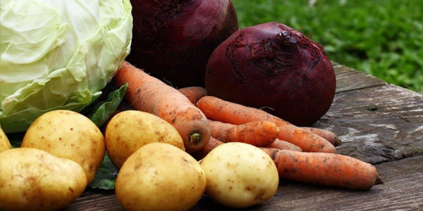 Жители Петропавловска жалуются на дорогой картофель