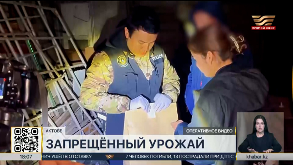 Наркотикосодержащие растения обнаружили на даче жителя Актобе