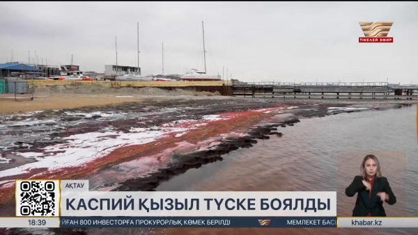 Каспий жағалауы қызыл түске боялды