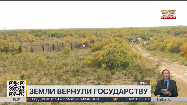 Сельхозземли на сумму 300 млн тенге вернули государству в Костанайской области