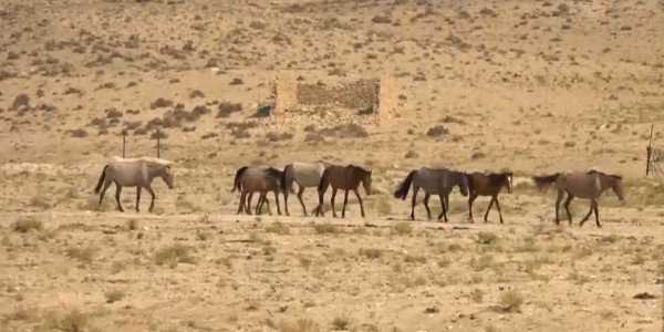Фермерам выделяют субсидии в качестве поддержки крестьянства от государства