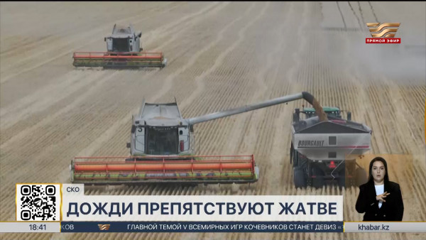 Осадки затрудняют своевременную уборку урожая в СКО