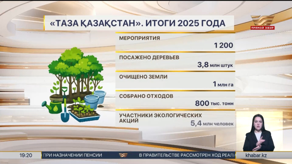 «Таза Қазақстан»: 3,8 млн деревьев посадили казахстанцы в 2025 году