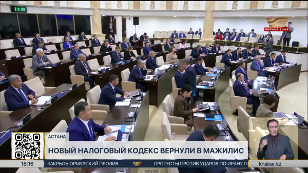 Новый налоговый кодекс вернули в Мажилис
