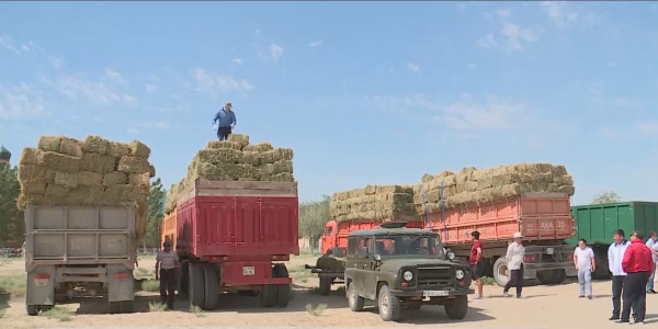 Үкімет резервінен 1,9 млрд теңге Маңғыстау облысына жеткізілді
