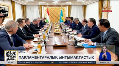Мәулен Әшімбаев Мажарстан Президентімен жүздесті