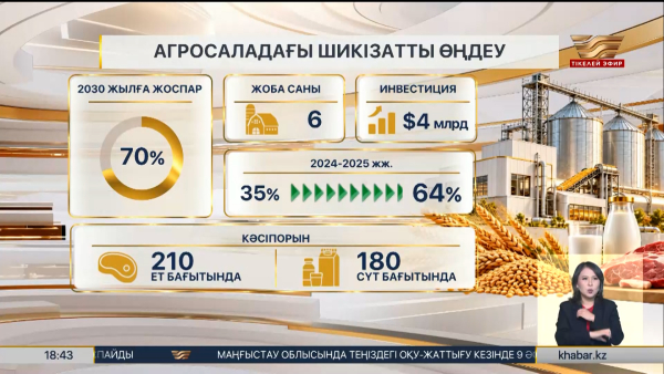 Астықты терең өңдейтін 6 ірі жоба іске қосылады