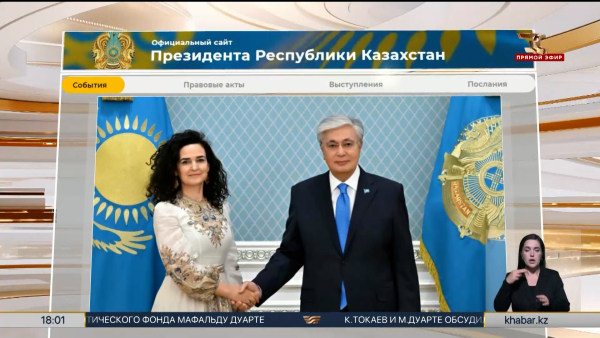 Президент принял Исполнительного директора Зеленого климатического фонда 