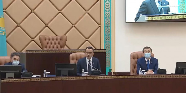 Сенат депутаттары ЕАЭО-ның Бірыңғай тізбесіне енгізілмеген өнімдерді реттейтін заң жобасын қабылдады