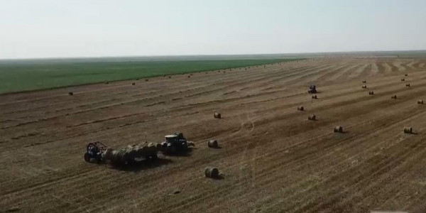 &laquo;Казгидромет&raquo; презентовал приложение AgroData