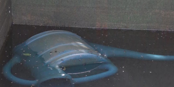 Су тапшылығы қашан жойылады?