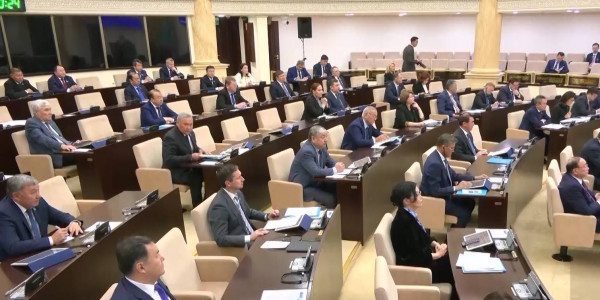 Казахстанские дети смогут напрямую жаловаться в Комитет ООН