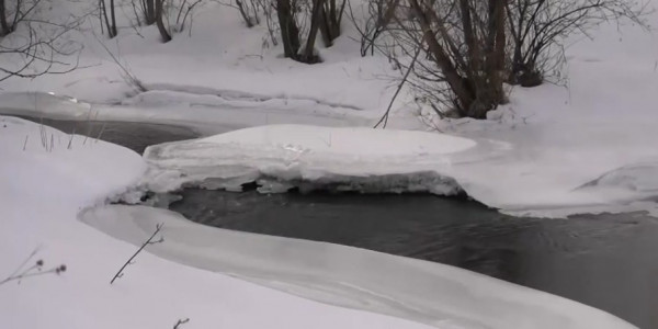Режим готовности к паводкам объявили в Восточном Казахстане