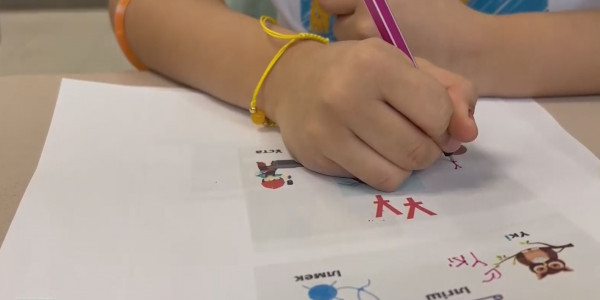 АҚШ-тағы қазақстандықтар үшін ана тілін үйрету курсы ашылды