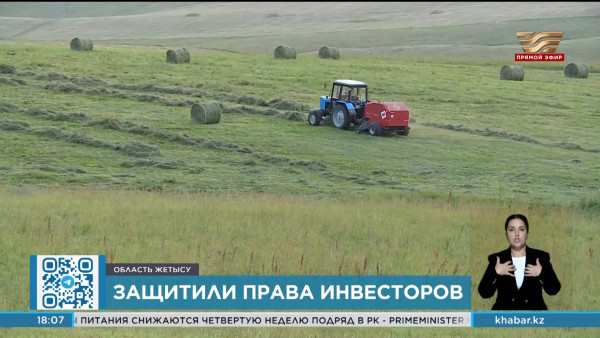 Права инвесторов защитили прокуроры области Жетысу