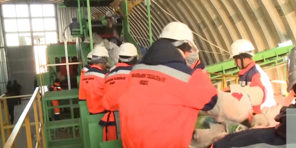 Kokys ondeitin zauyt