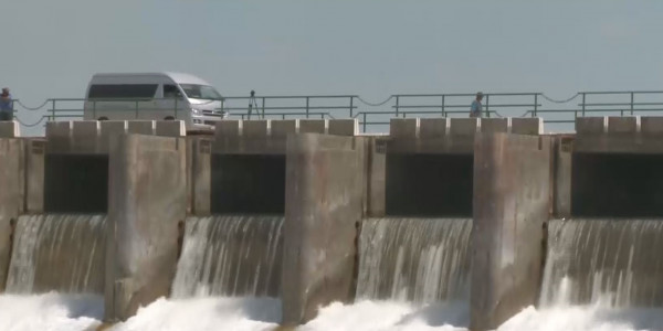 Аралды қалай сақтап қаламыз?