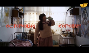 &laquo;Осторожно, корова!&raquo;